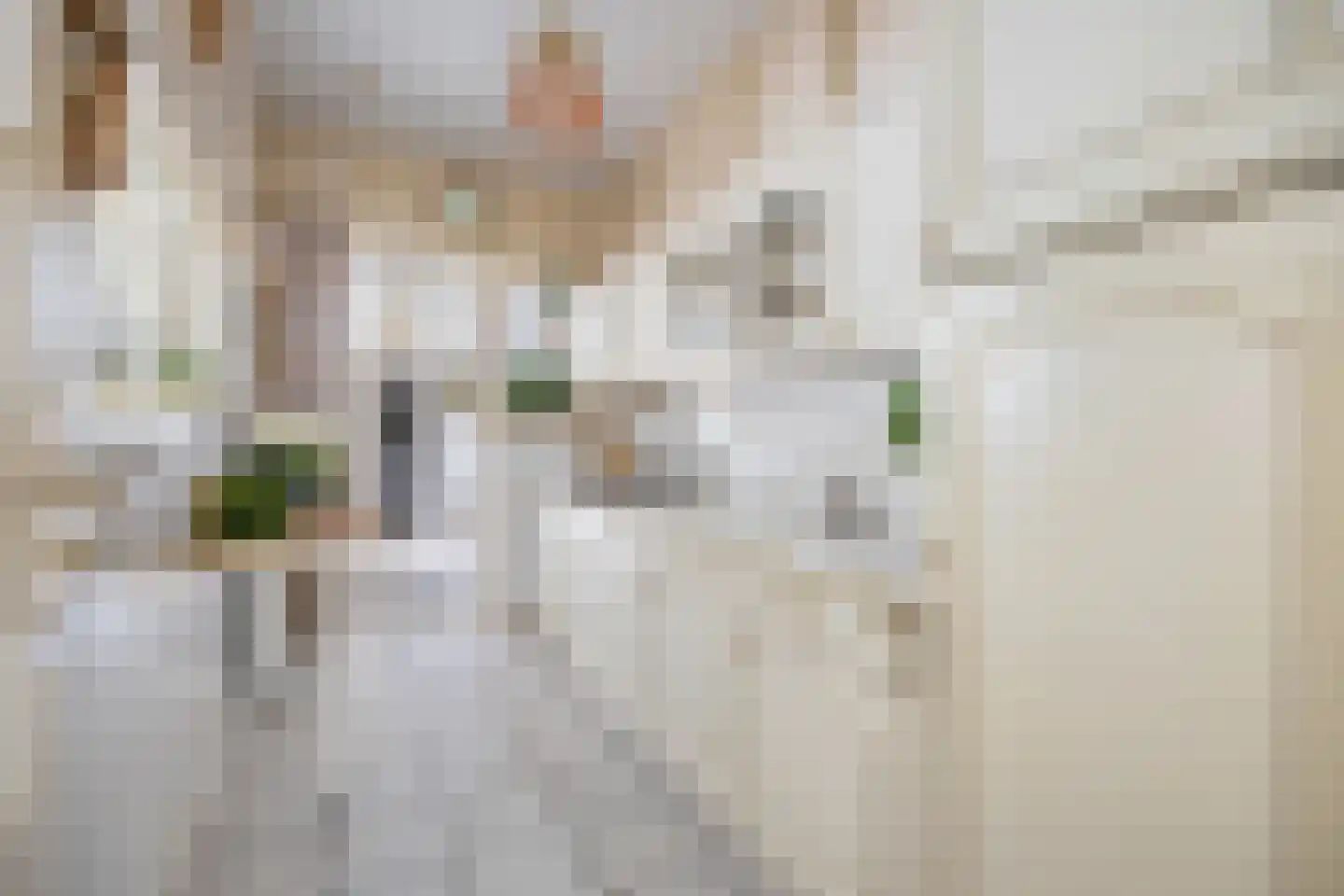 Verlaatstraat 2 Breda thumbnail 22
