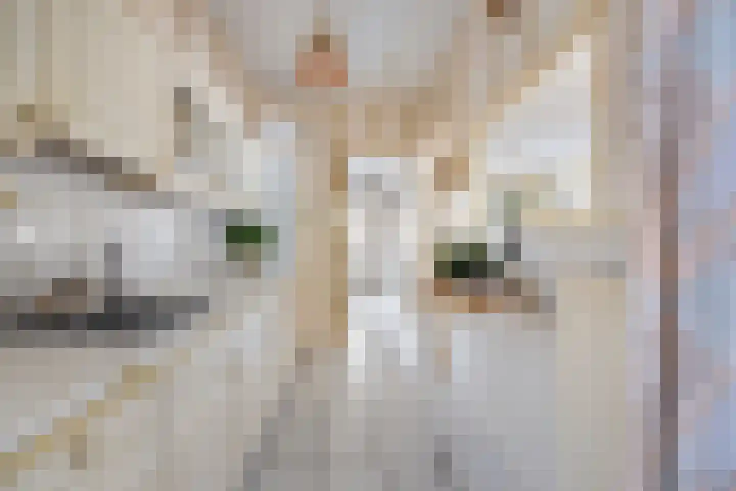 Verlaatstraat 2 Breda thumbnail 23