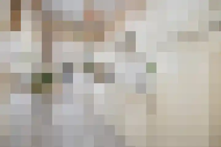 Verlaatstraat 2 Breda thumbnail 23