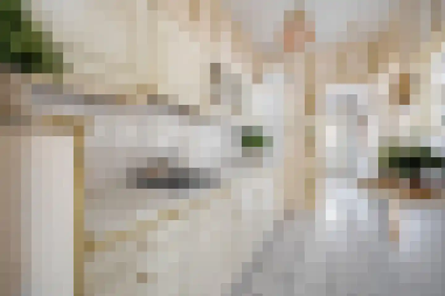 Verlaatstraat 2 Breda thumbnail 24