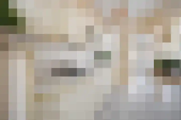 Verlaatstraat 2 Breda thumbnail 25