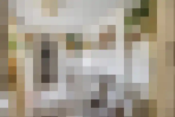 Verlaatstraat 2 Breda thumbnail 26