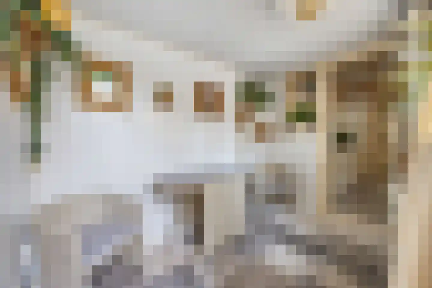 Verlaatstraat 2 Breda thumbnail 28