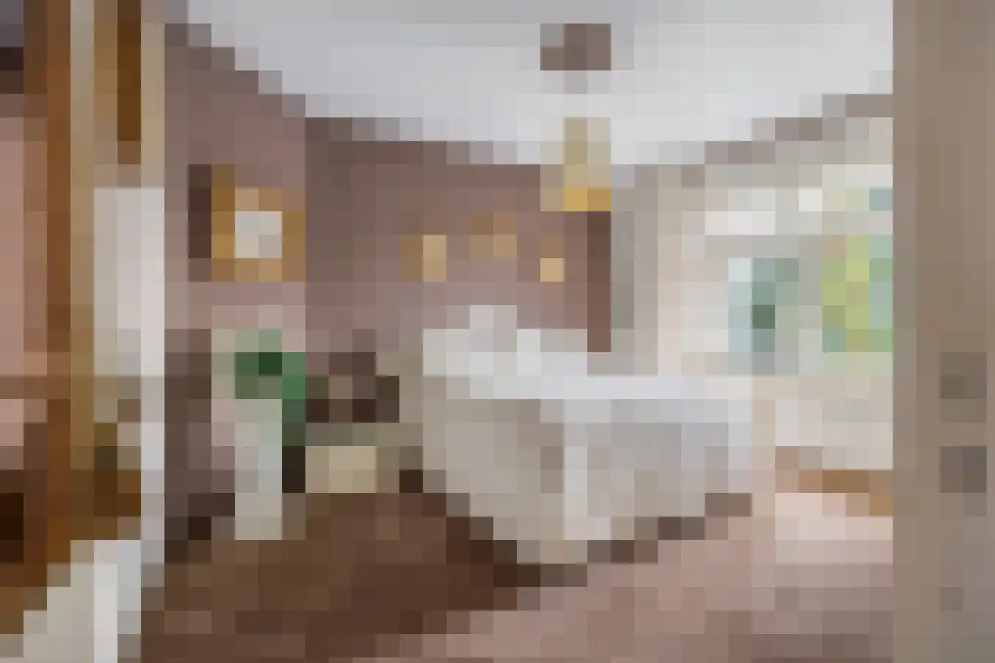 Verlaatstraat 2 Breda thumbnail 33