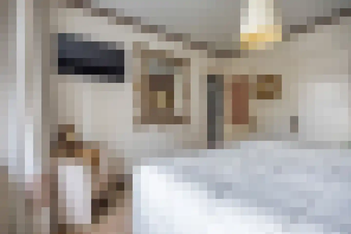 Verlaatstraat 2 Breda thumbnail 35