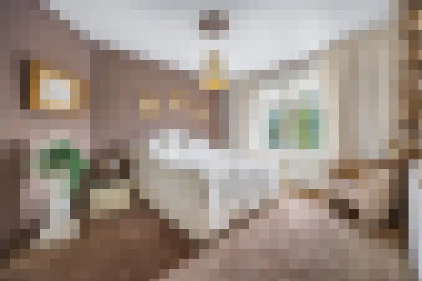 Verlaatstraat 2 Breda thumbnail 36