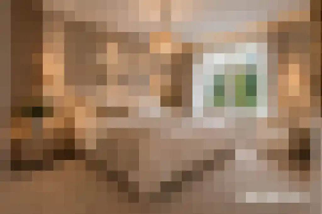 Verlaatstraat 2 Breda thumbnail 36