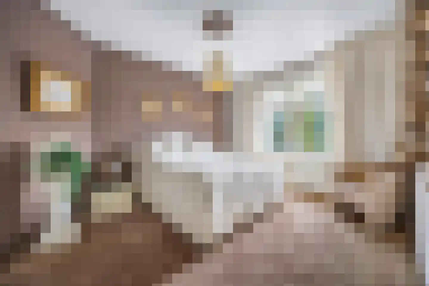 Verlaatstraat 2 Breda thumbnail 4