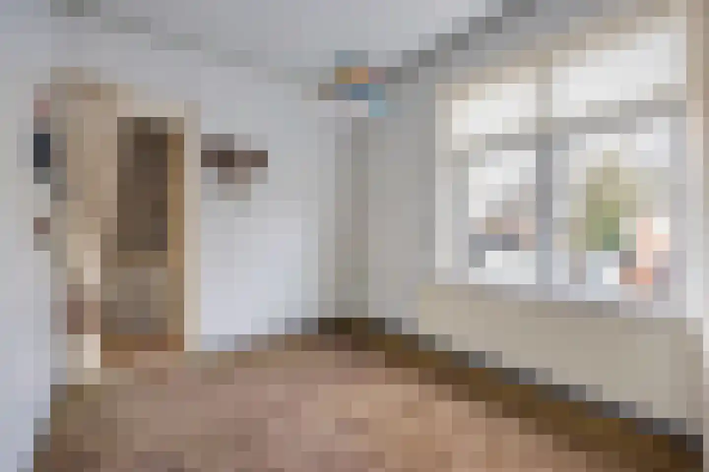 Verlaatstraat 2 Breda thumbnail 40