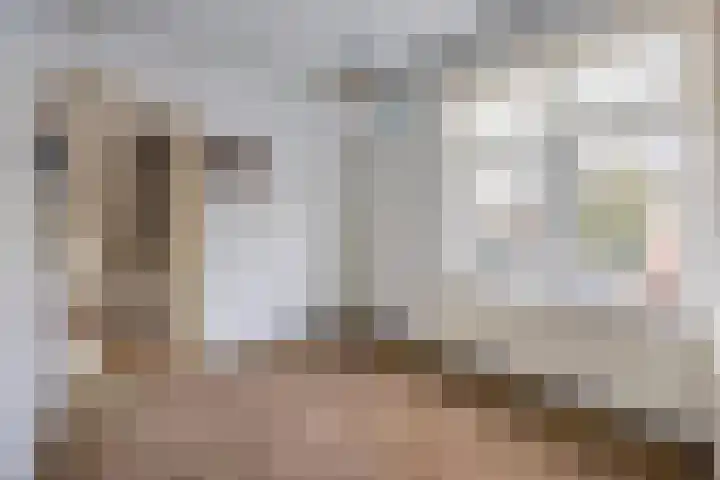 Verlaatstraat 2 Breda thumbnail 40