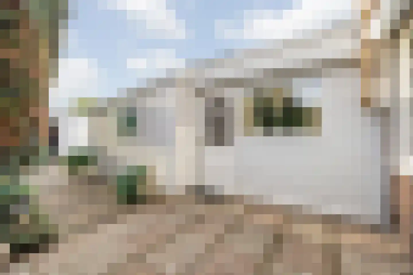 Verlaatstraat 2 Breda thumbnail 45