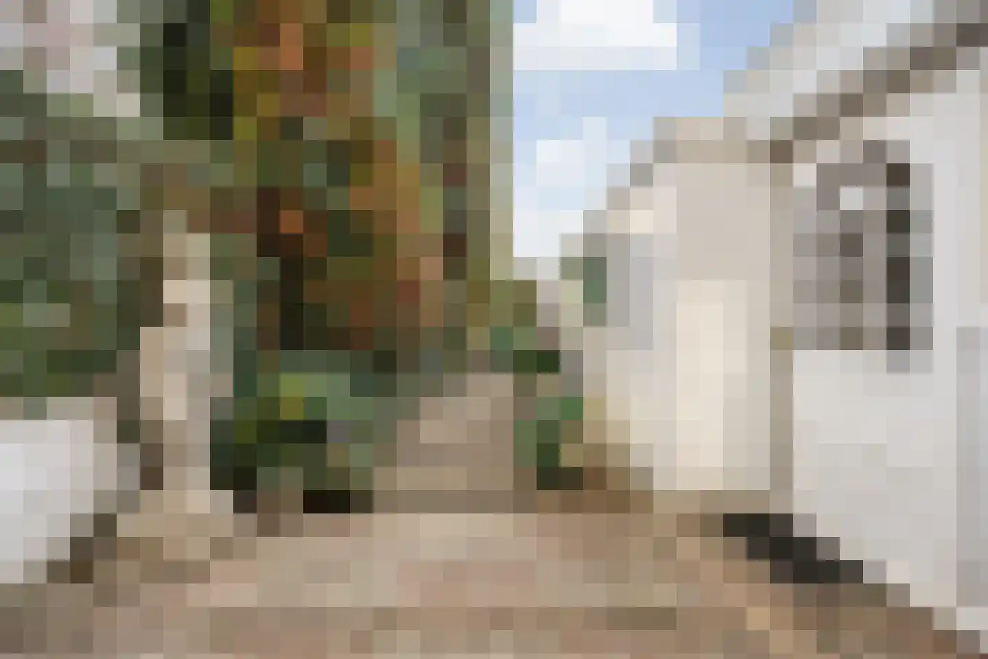 Verlaatstraat 2 Breda thumbnail 46