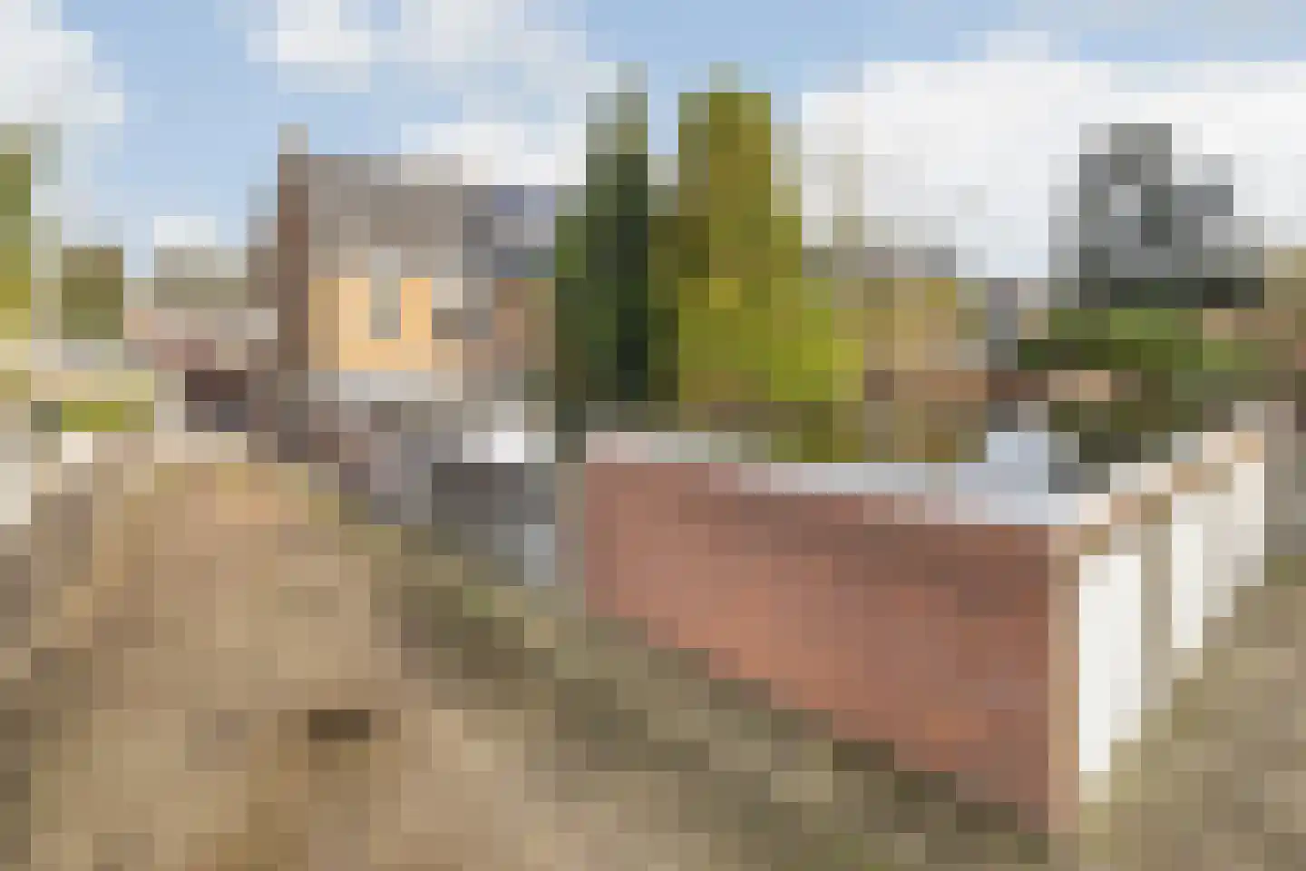Verlaatstraat 2 Breda thumbnail 49