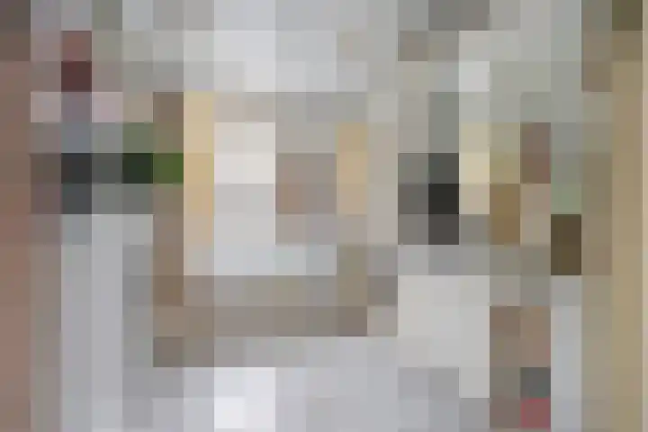 Verlaatstraat 2 Breda thumbnail 5