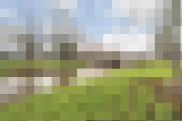 Verlaatstraat 2 Breda thumbnail 56
