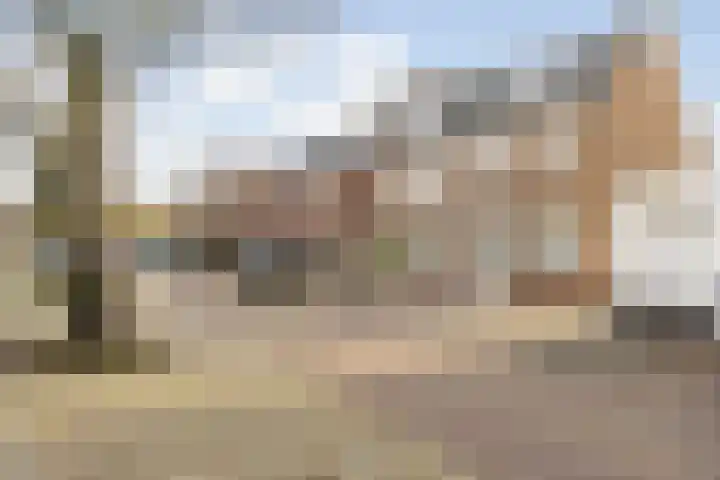 Verlaatstraat 2 Breda thumbnail 6