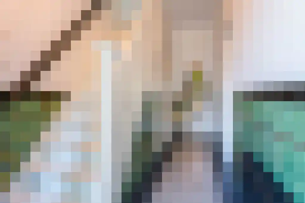Verlaatstraat 3 Breda thumbnail 4
