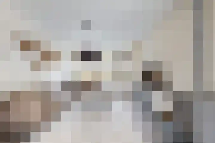 Verlaatstraat 34 Klundert thumbnail 12