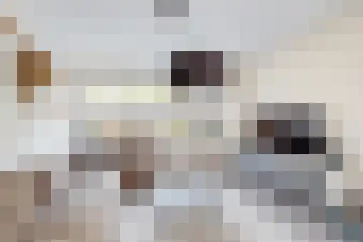 Verlaatstraat 34 Klundert thumbnail 14