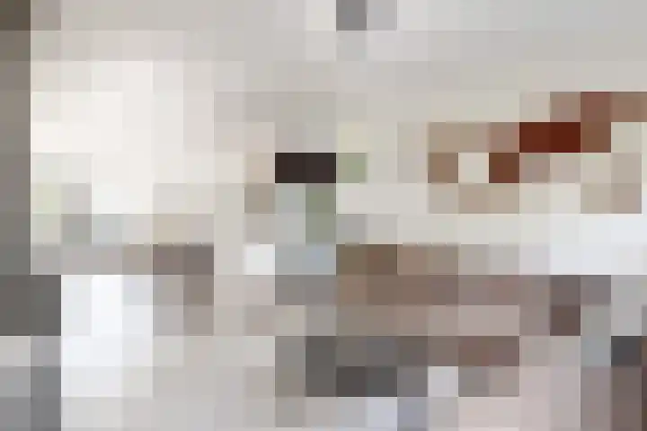 Verlaatstraat 34 Klundert thumbnail 15