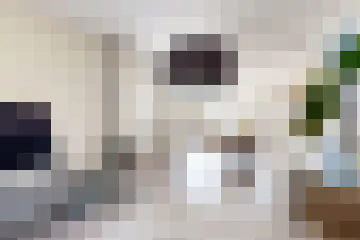 Verlaatstraat 34 Klundert thumbnail 16