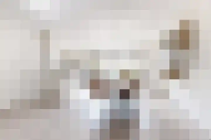 Verlaatstraat 34 Klundert thumbnail 17
