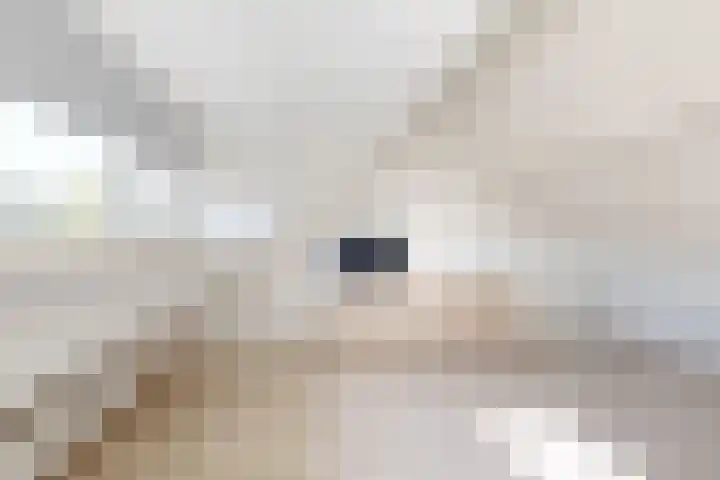 Verlaatstraat 34 Klundert thumbnail 44