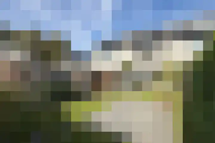 Verlaatstraat 34 Klundert thumbnail 51