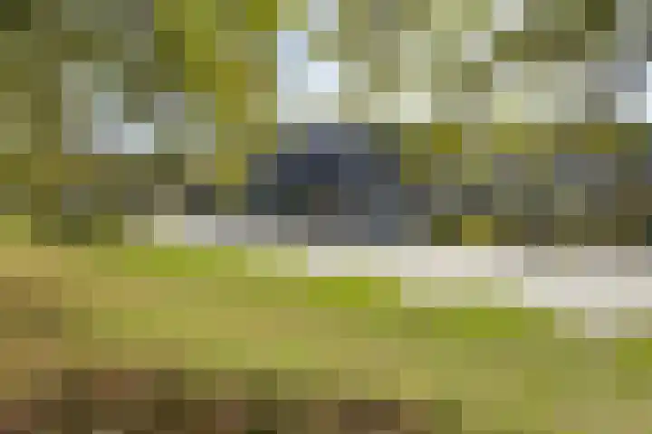 Verlaatstraat 34 Klundert thumbnail 60