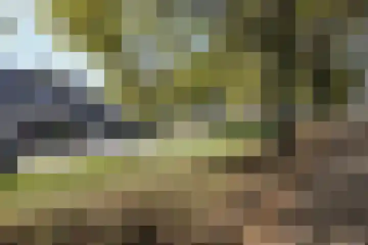 Verlaatstraat 34 Klundert thumbnail 61