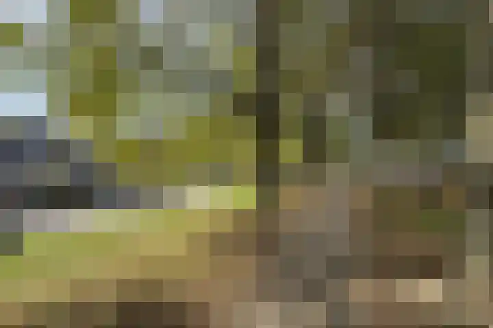 Verlaatstraat 34 Klundert thumbnail 62