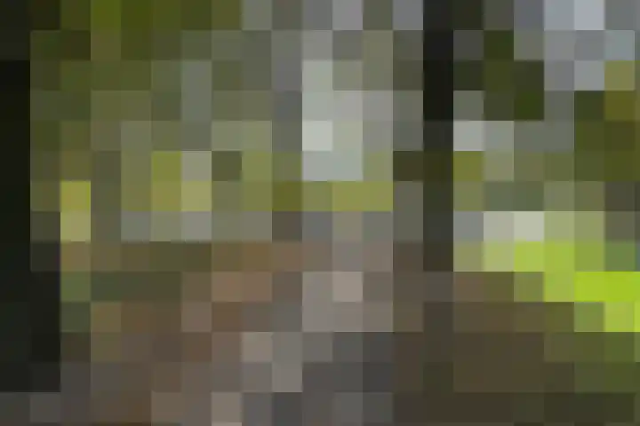 Verlaatstraat 34 Klundert thumbnail 63