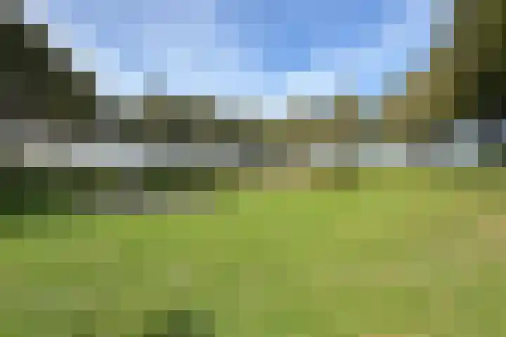 Verlaatstraat 34 Klundert thumbnail 66