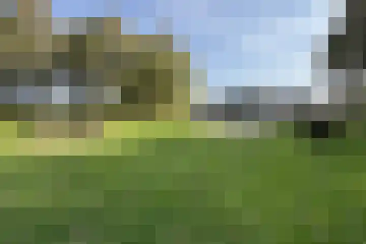 Verlaatstraat 34 Klundert thumbnail 67