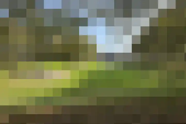 Verlaatstraat 34 Klundert thumbnail 68