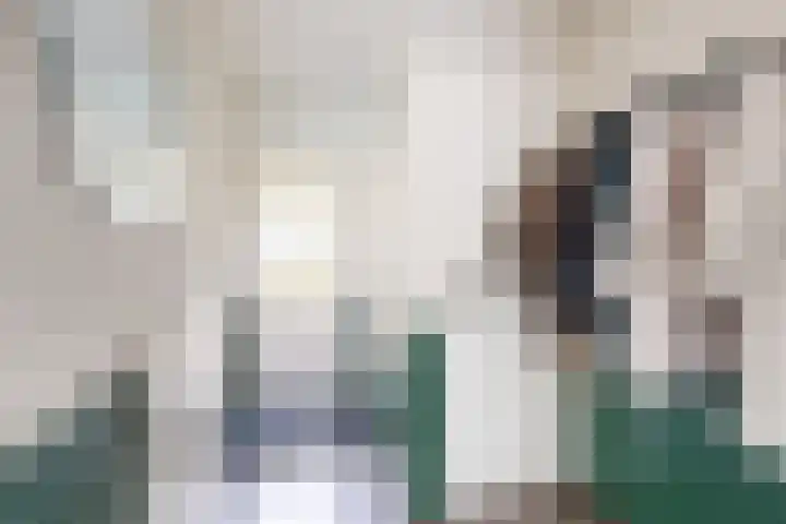 Verlaatstraat 34 Klundert thumbnail 8