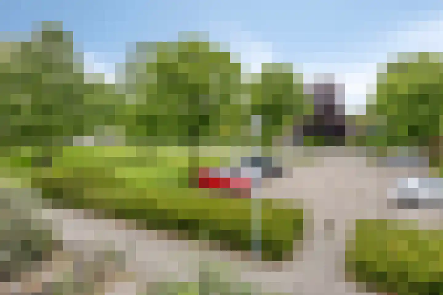 Verlaatsweg 28 Rijsenhout thumbnail 42