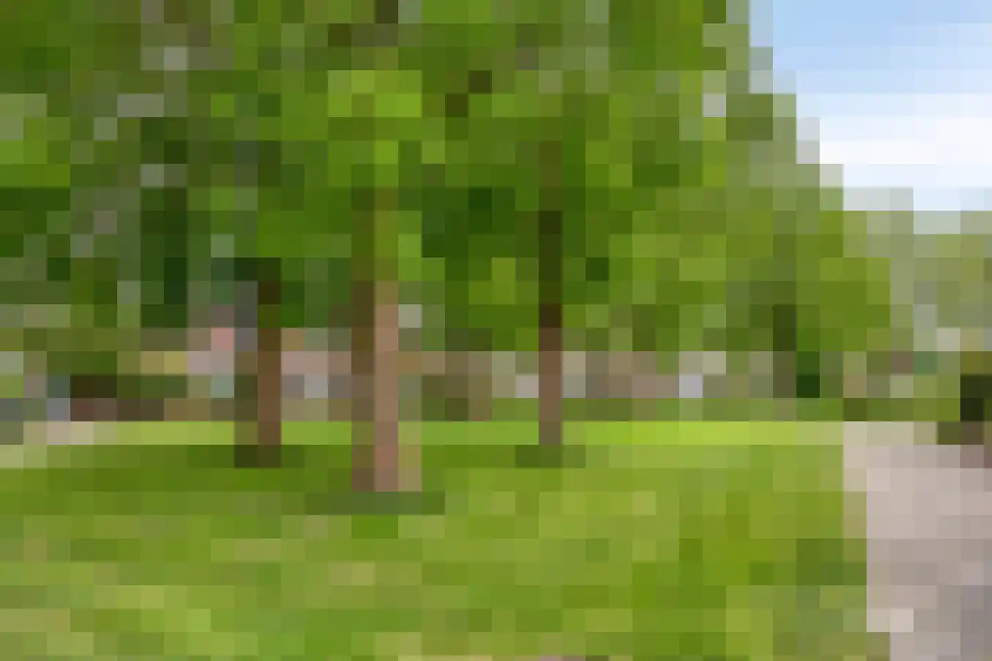 Verlaatsweg 28 Rijsenhout thumbnail 45