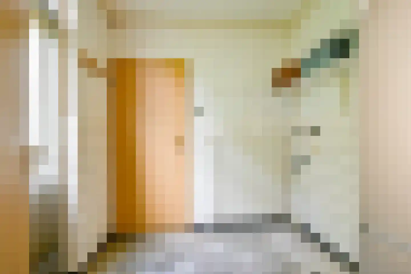 Verlaatsweg 62 Spierdijk thumbnail 14