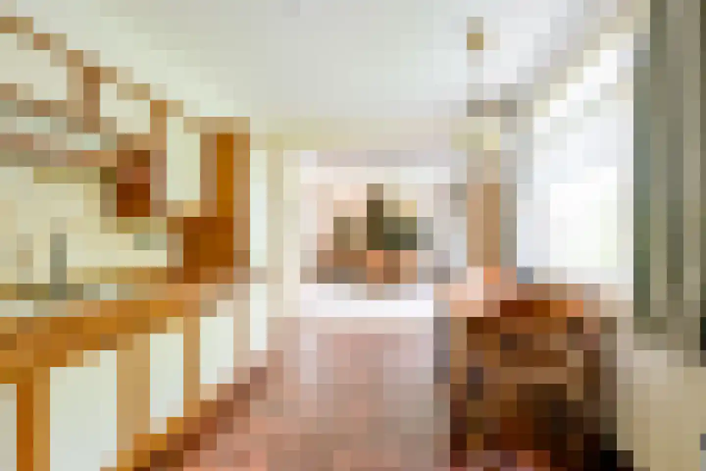 Verlaatsweg 62 Spierdijk thumbnail 18