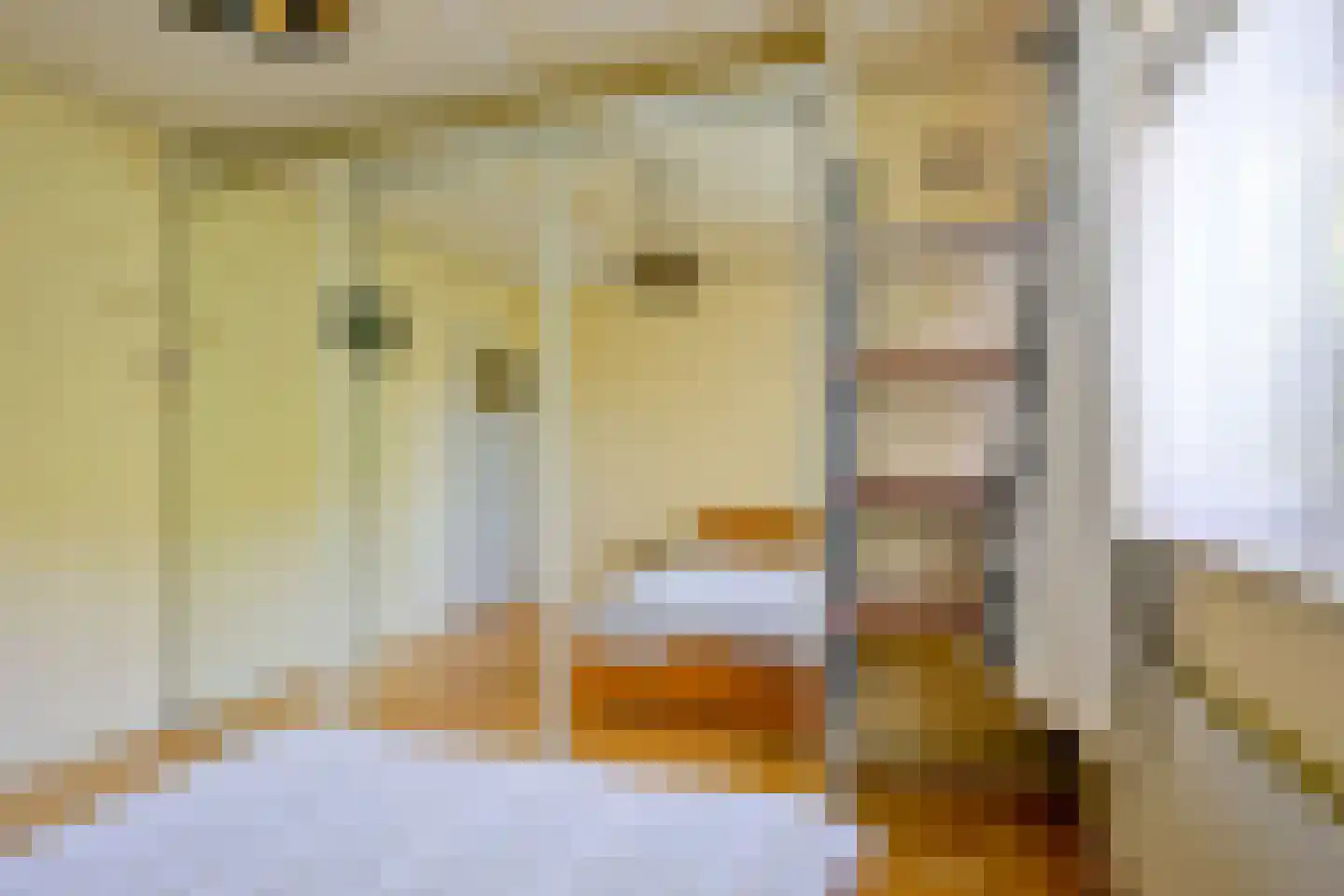 Verlaatsweg 62 Spierdijk thumbnail 22