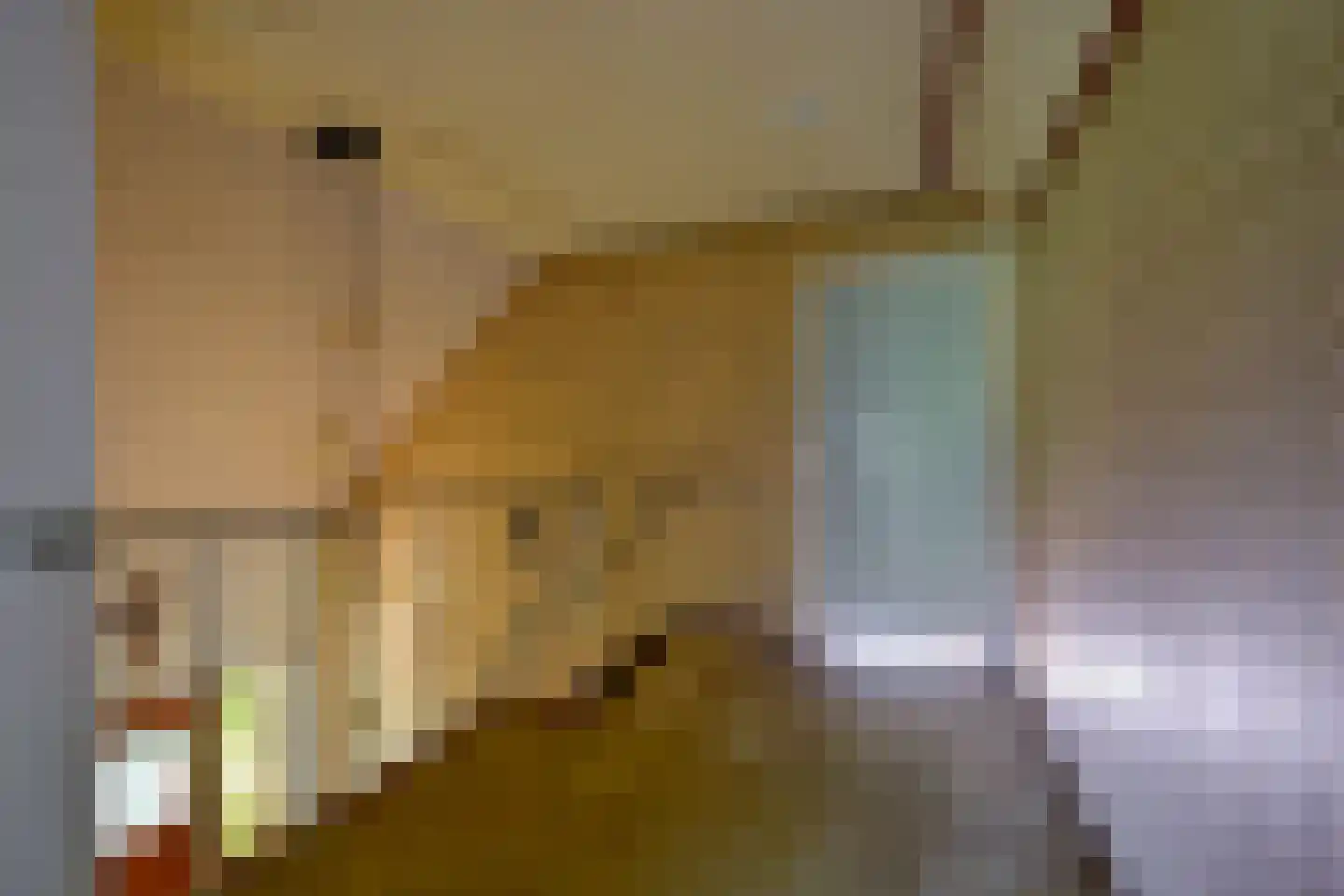 Verlaatsweg 62 Spierdijk thumbnail 25