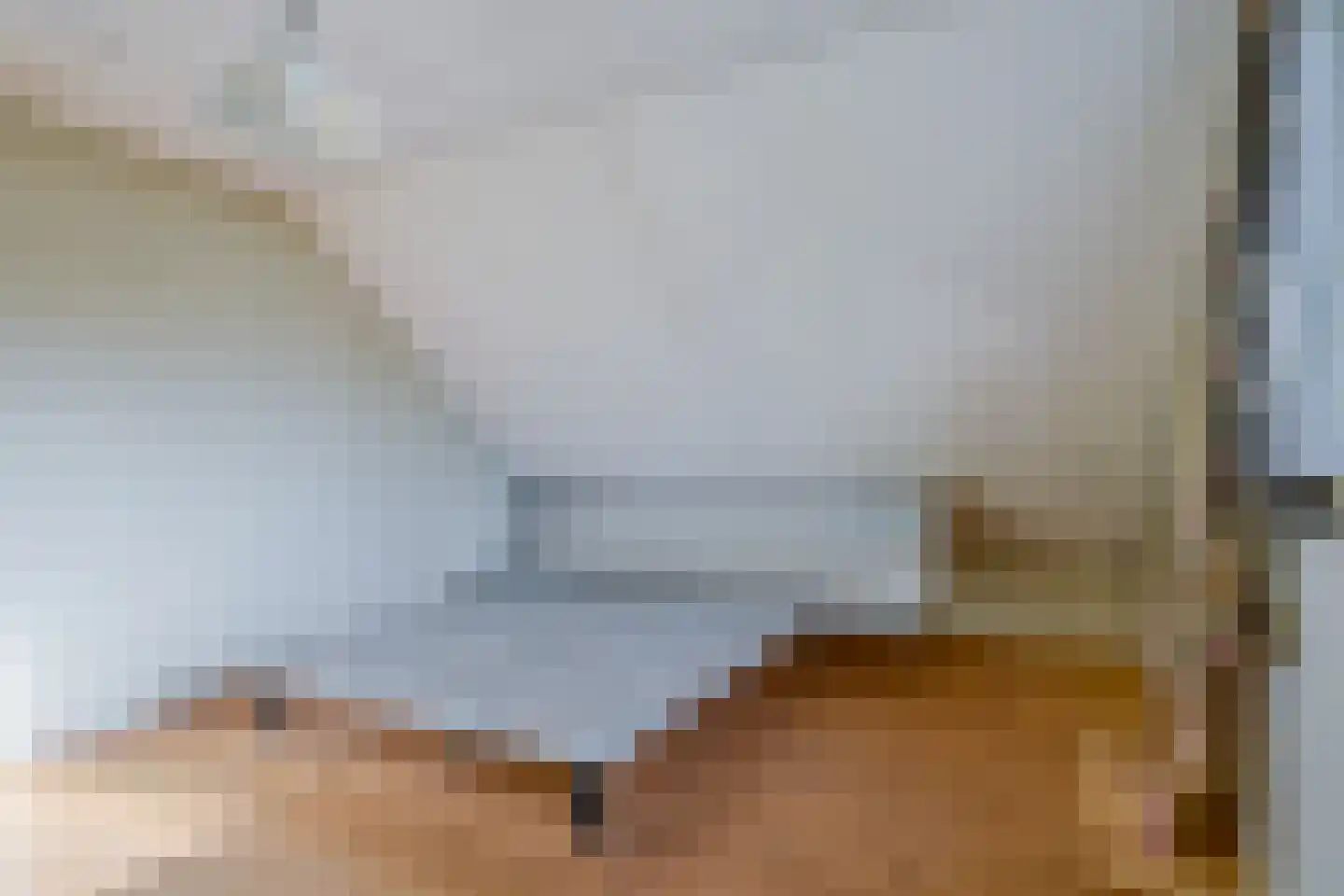 Verlaatsweg 62 Spierdijk thumbnail 27