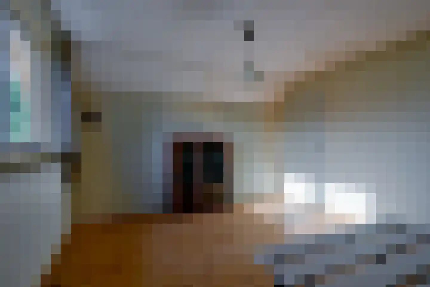 Verlaatsweg 62 Spierdijk thumbnail 28