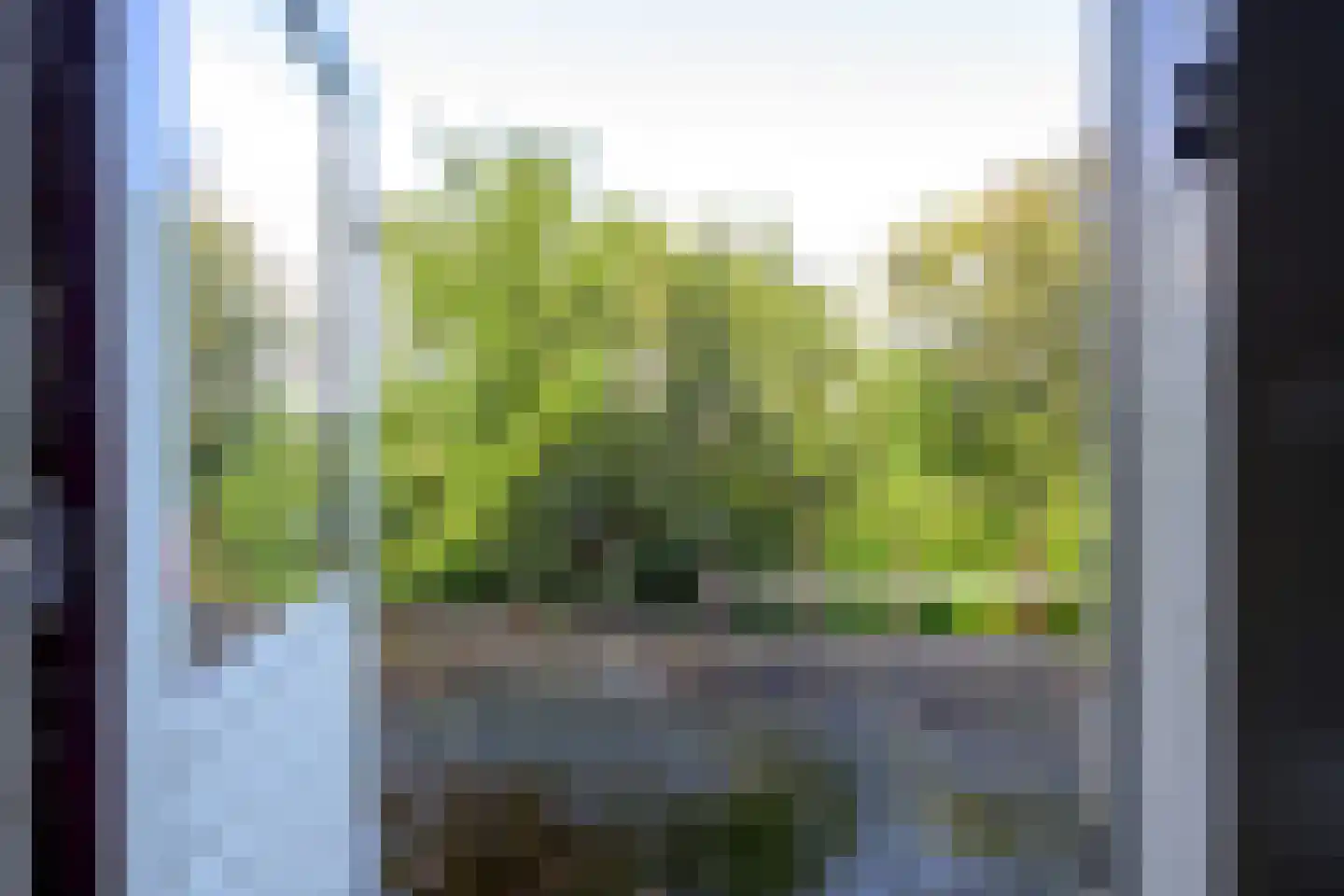 Verlaatsweg 62 Spierdijk thumbnail 30