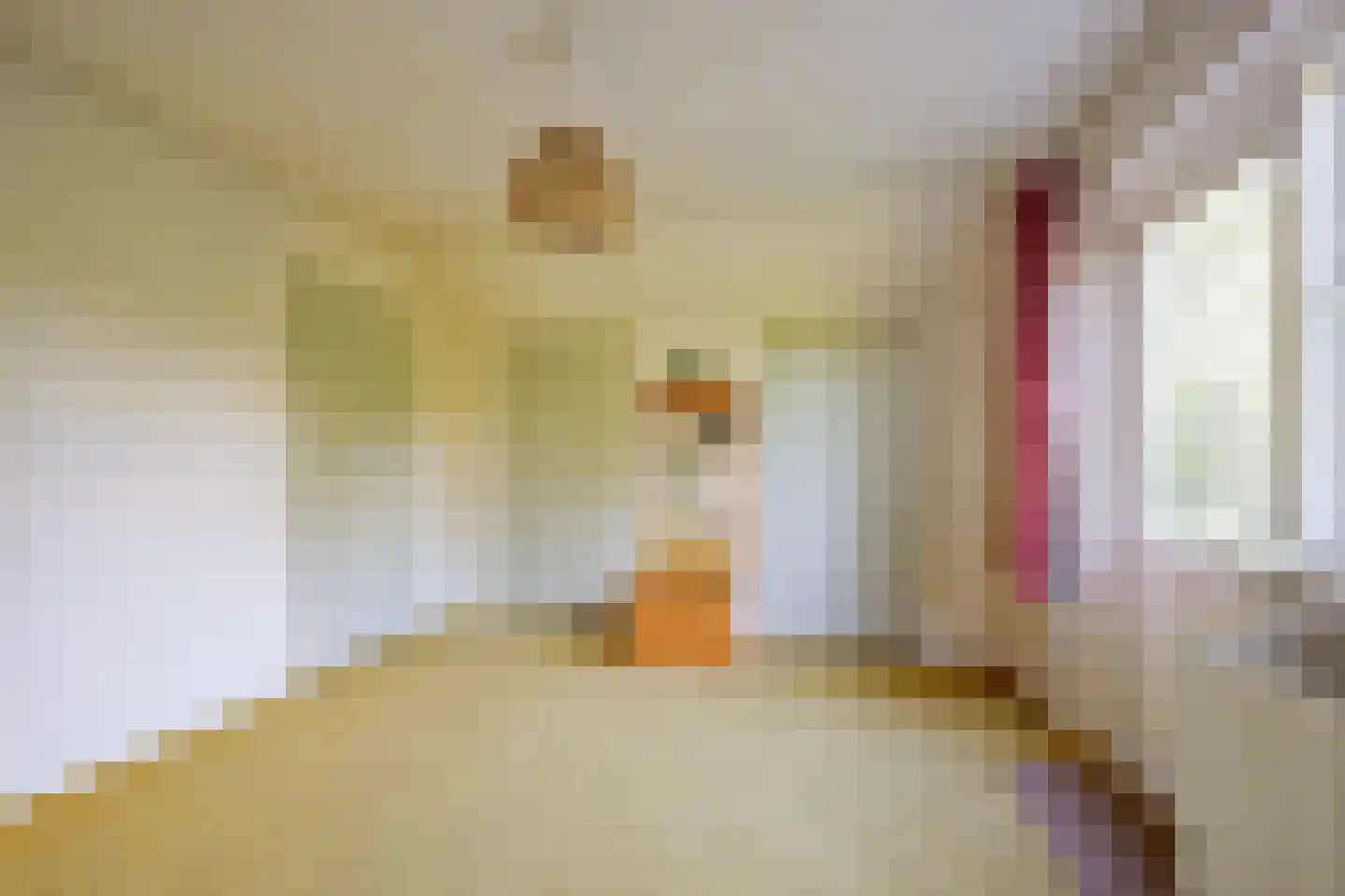 Verlaatsweg 62 Spierdijk thumbnail 31