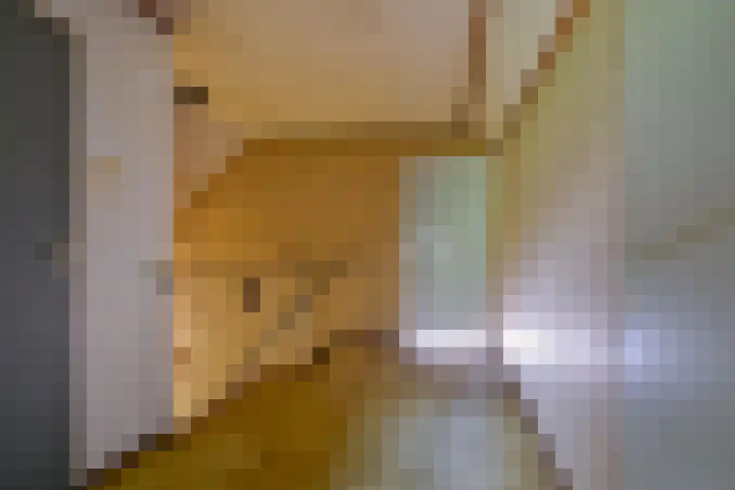 Verlaatsweg 62 Spierdijk thumbnail 33