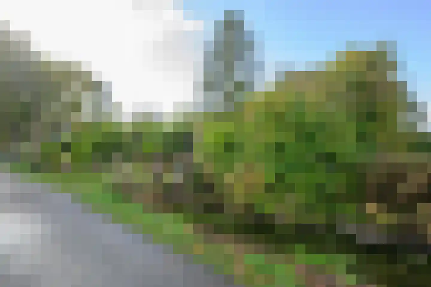 Verlaatsweg 62 Spierdijk thumbnail 39