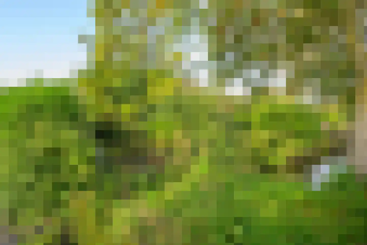 Verlaatsweg 62 Spierdijk thumbnail 40