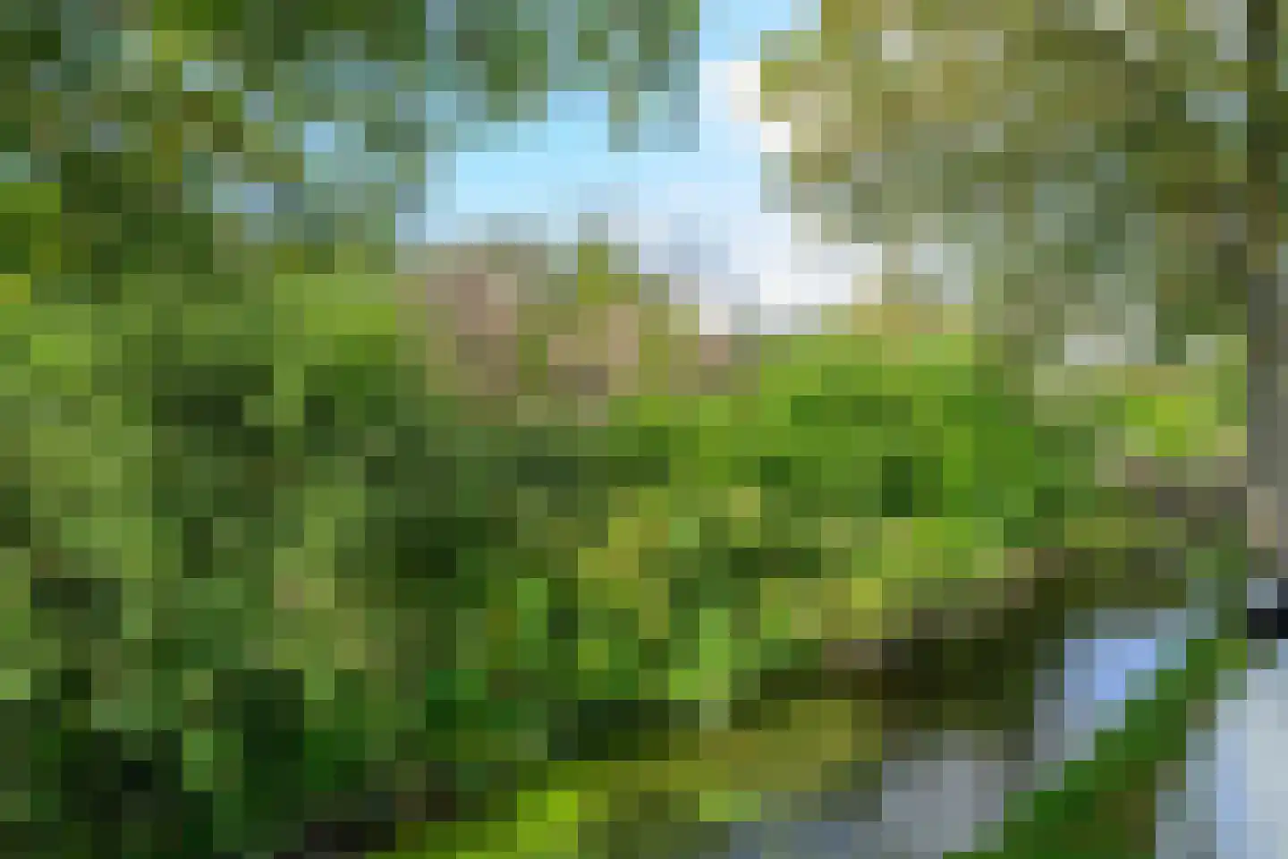 Verlaatsweg 62 Spierdijk thumbnail 41